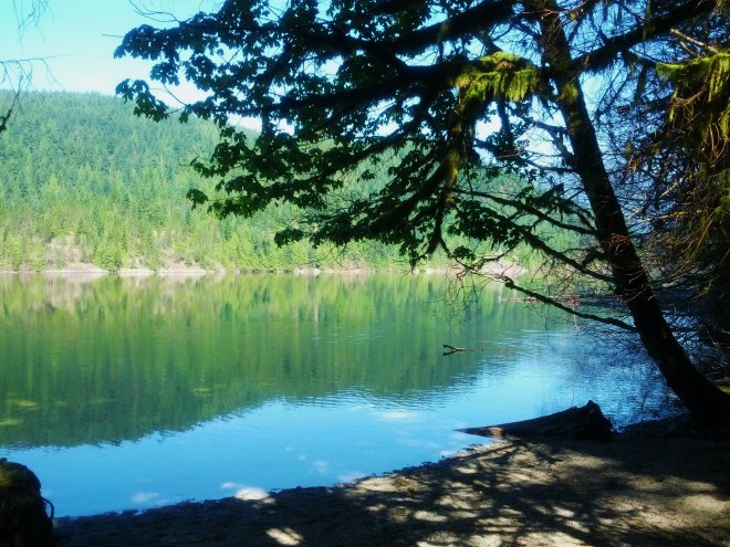 IMG_20130709_103011 - Copy