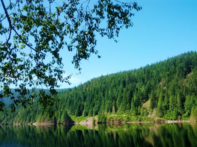 IMG_20130709_105800 - Copy