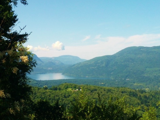 IMG_20130712_104213 - Copy