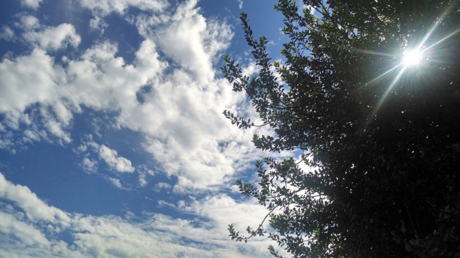 IMG_20140701_162441858_HDR