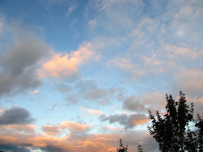 ???????????????????????????????