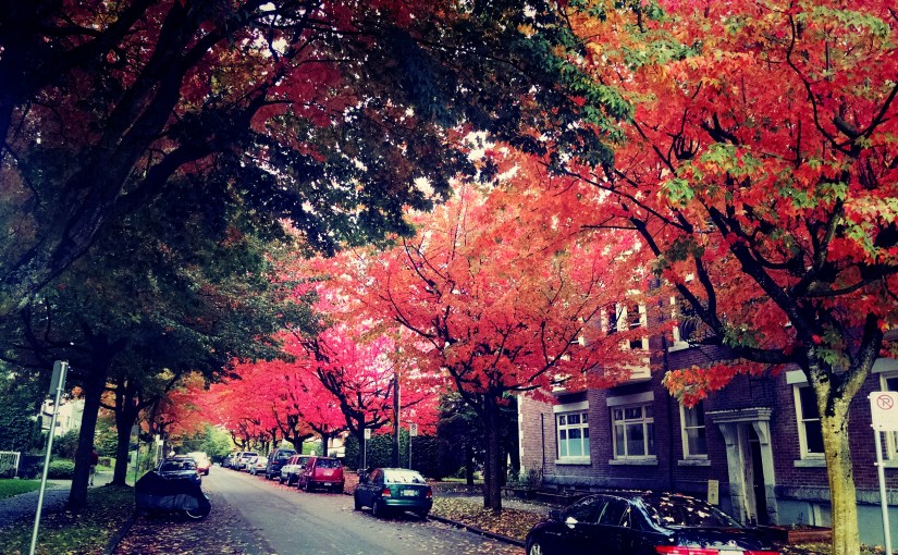 Just hold on tight – don’t let it&nbsp;in