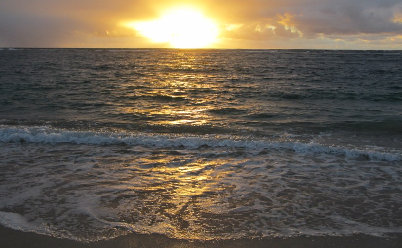 She creates. She is a creator of&nbsp;worlds.