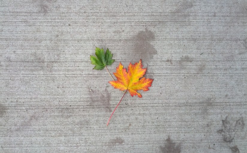 Times, they are, a-changin’