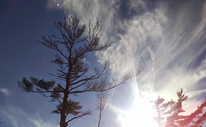 I love to hear you&nbsp;speak