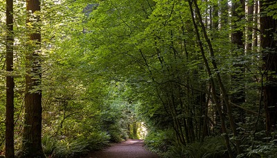 Path(1)_rdax_400x229