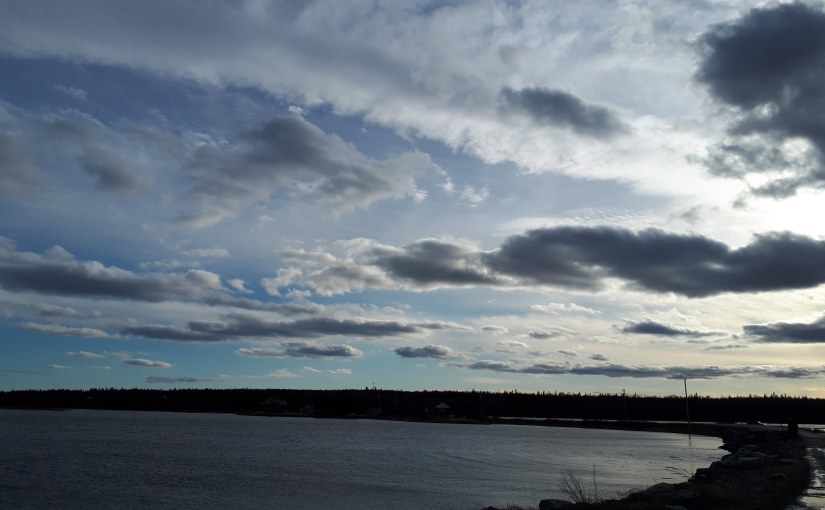 Dear Momma: Here’s what happened in&nbsp;2018